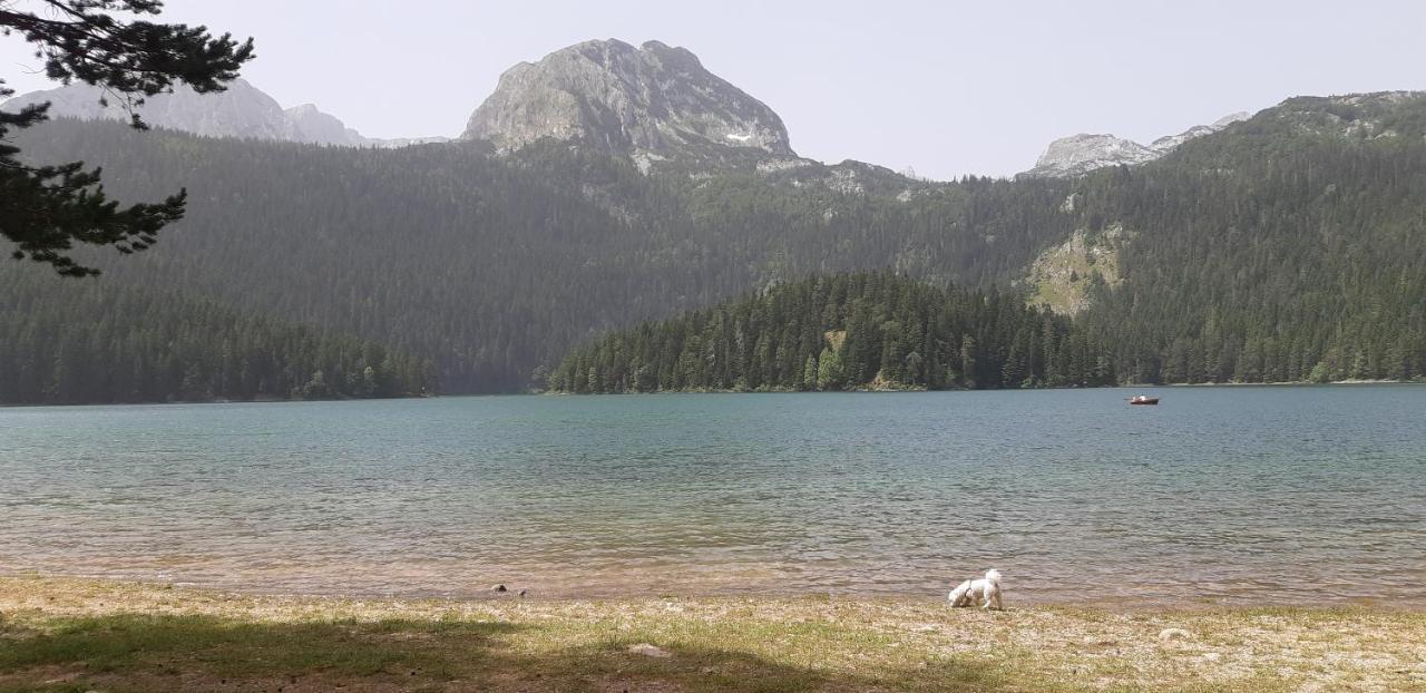 Durmitorski Konak Žabljak Exterior foto